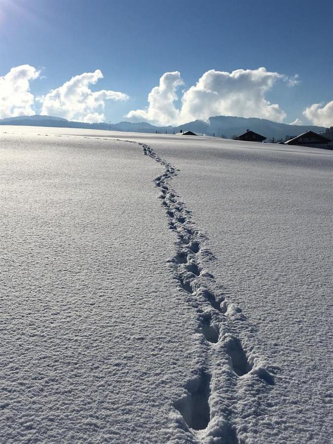 Ferienwohnungen Britta Heim Oberstaufen Exteriör bild