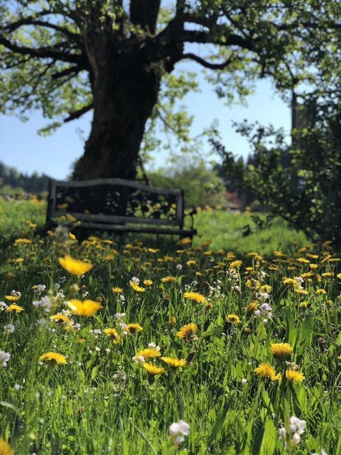 Ferienwohnungen Britta Heim Oberstaufen Exteriör bild